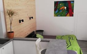Studio apartman Fleiss