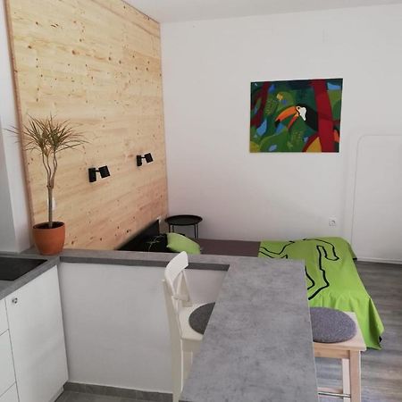 Appartamento Studio apartman Fleiss Samobor Esterno foto