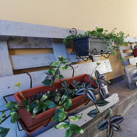 Appartamento Studio apartman Fleiss Samobor Esterno foto