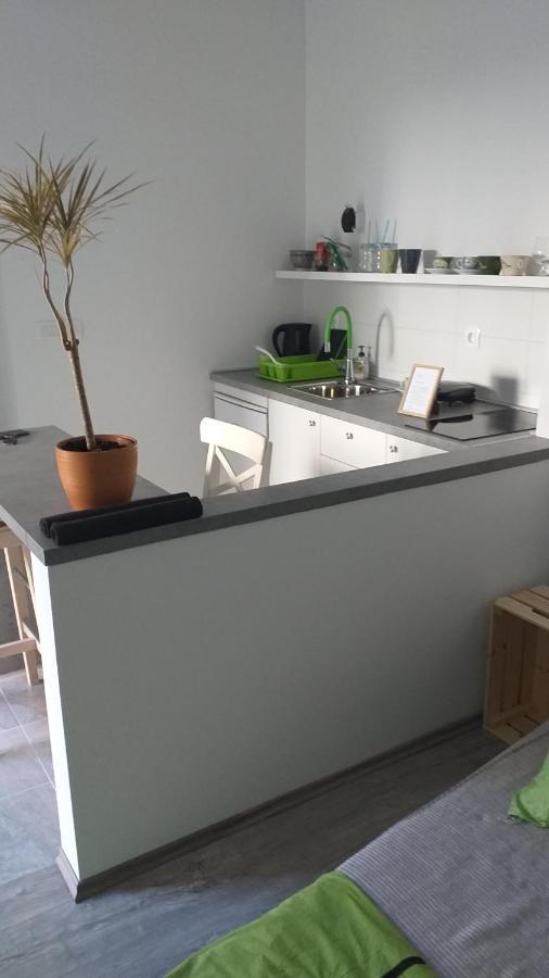Appartamento Studio apartman Fleiss Samobor Esterno foto