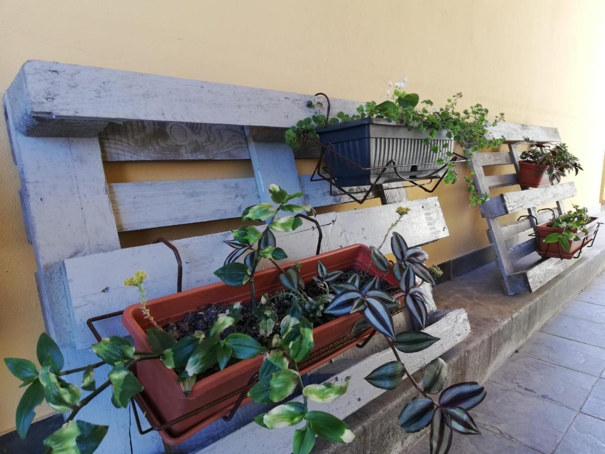 Appartamento Studio apartman Fleiss Samobor Esterno foto