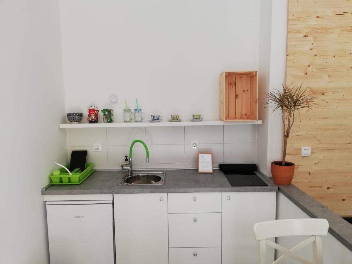 Appartamento Studio apartman Fleiss Samobor Esterno foto