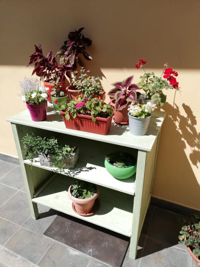 Appartamento Studio apartman Fleiss Samobor Esterno foto